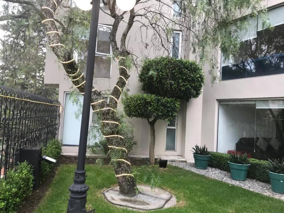 Hermoso Departamento En Bosques De Las Lomas Dos Habitaciones Мехико Экстерьер фото