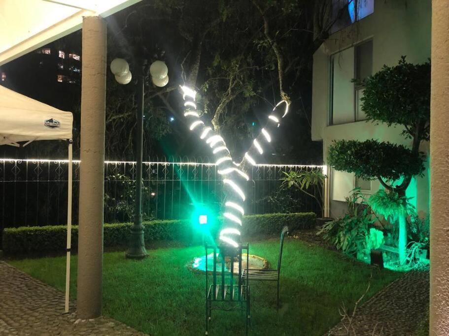 Hermoso Departamento En Bosques De Las Lomas Dos Habitaciones Мехико Экстерьер фото